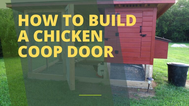 How to Build a Chicken Coop Door