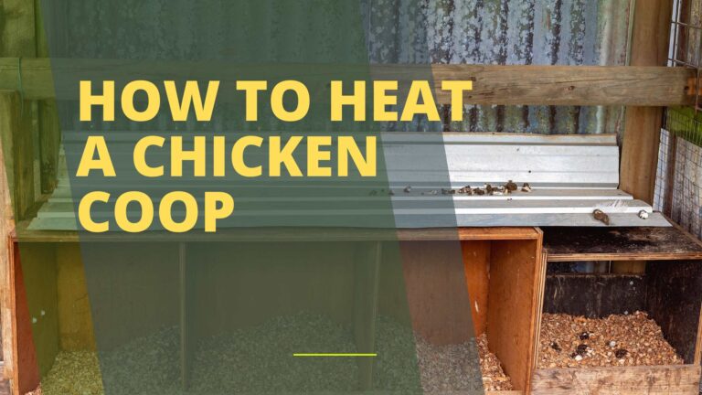 How to Heat a Chicken Coop