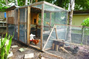 how to build a chicken coop cheap