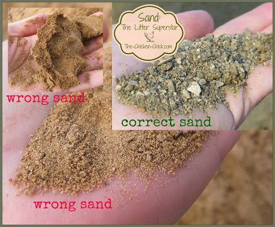 Where to Buy Sand for Chicken Coop  